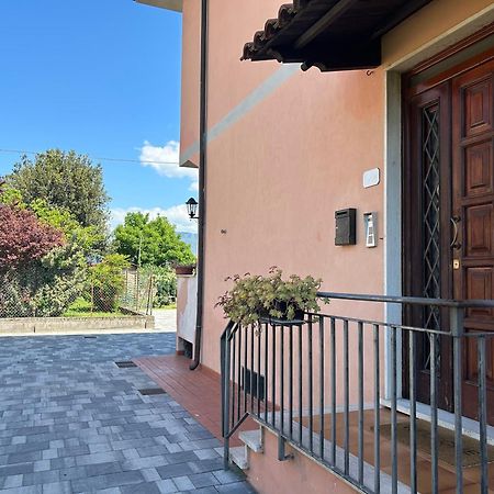 Albi'S House,Terrazza ,Wi-Fi, Parcheggio, Ac Apartment Lucca Exterior photo