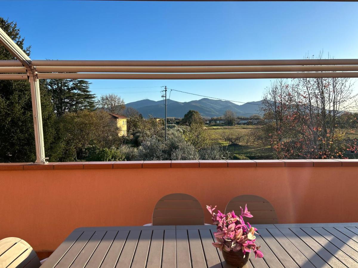 Albi'S House,Terrazza ,Wi-Fi, Parcheggio, Ac Apartment Lucca Exterior photo
